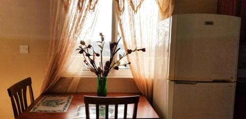 Portsmouth Apartment | Candy's Palace Apartments -Dominica's Best Hilltop Haven