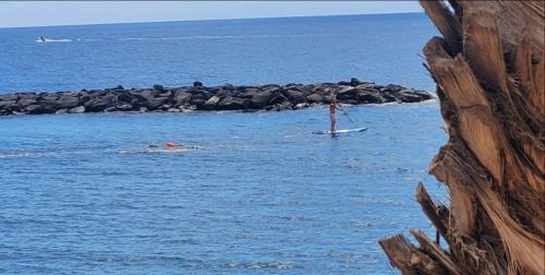 Puerto de Guimar Apartment | Canela Tenerife Apartment