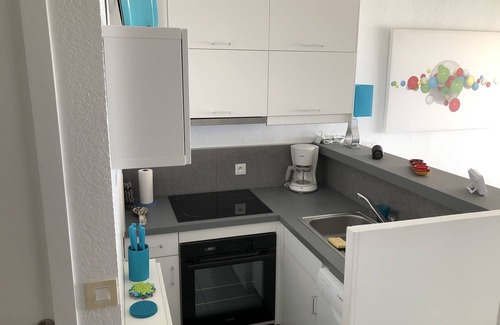 La Cote Radieuse Apartment | CANET SUD, T1 bis LUXURY AIR CONDITIONED, SEA VIEW - DIRECT BEACH, Wifi, closed garage