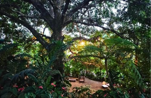 Siquijor House | Canjahawon Nipa Hut Homestay