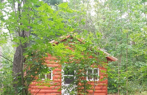 Luther Cabin | Cannabis Creek Cabin (with extras)