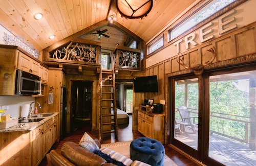 Blue Ridge Cabin | Canopy Blue Luxury Treehouse *hot tub, fire pit, swing bed, amazing views*