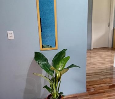 Morro Reuter House | Cantinho da Ane