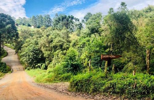 Goncalves House | Cantinho da Bubu