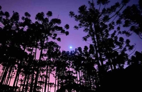 Goncalves House | Cantinho da Bubu