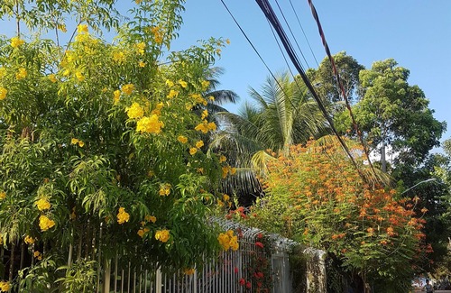 Porto da Madama House | Canto do Tie Hostel