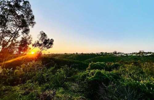 Mira Mesa Resort | Canyon Breeze - Private Home with Hot Tub & Views