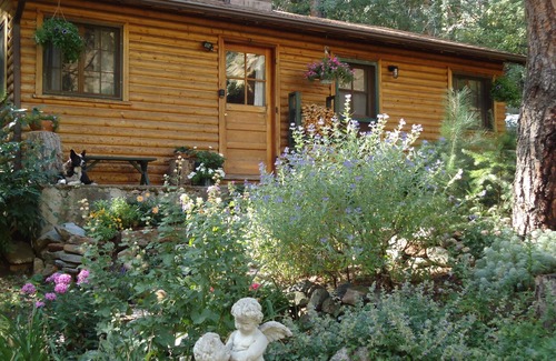 Boulder Cabin | Canyon escape - cabin studio along Boulder Creek with complete kitchen #2