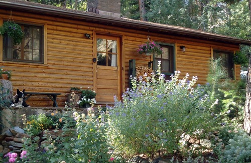 Boulder Cabin | Canyon escape - cabin studio along Boulder Creek with complete kitchen #1