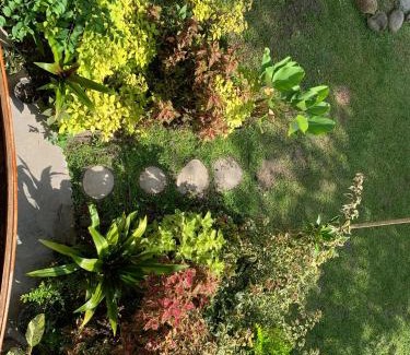 Bukittinggi Cabin | Canyon Jungle Stay