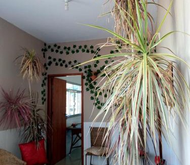 Caparao National Park Apartment | Caparaó Casa Feliz