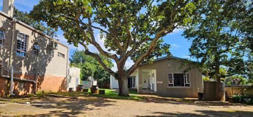 Greytown House | Cape Robin Guesthouse