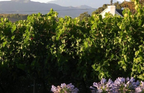 Langeberg House | Cape Winelands cottage 90m2 with beautiful views of vineyards, mountains & orcha