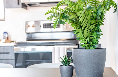 Torrey House | Capitol Casita - 2BD+loft+2BA and rooftop deck