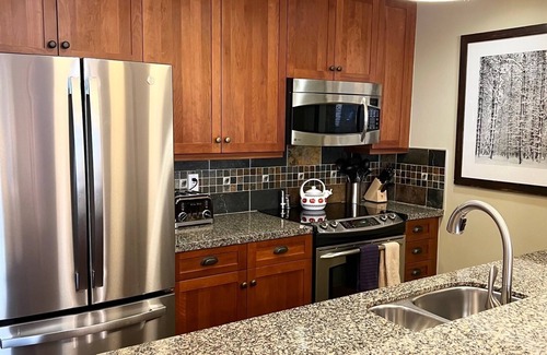 Snowmass Village Condo | Capitol Peak Lodge-Snowmass Base Village: 50 ft. to Elk Camp gondola