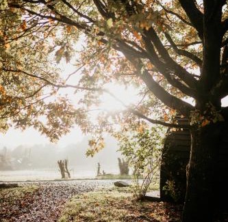 Woolhope Other | Caplor Glamping & Lodges