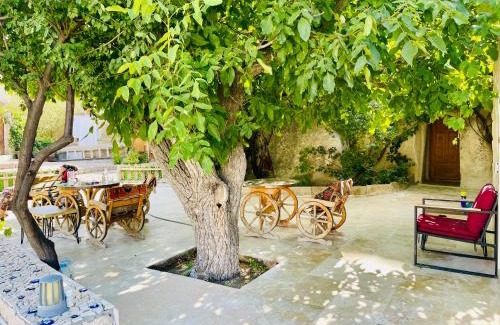 Ortahisar Bed & Breakfast | CAPPADOCİA ST.NİNO'S GARDEN
