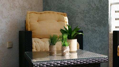 Lucciana Apartment | Capstay studio avec grande terrasse proche aéroport Bastia - Lucciana - Centre