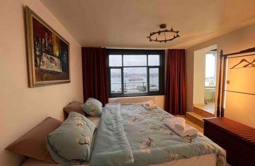 Ergani House | Captain mansion
