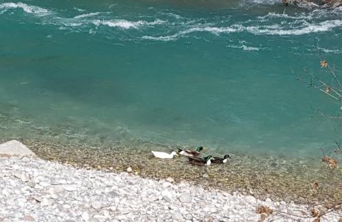 Konjic Apartment | Captain s house