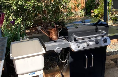 Ione Apartment | Captains Quarters PVT. Bed Bath and BBQ with a Mother Load of Charm
