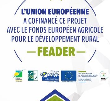 Port-Louis Apartment | Caraibe Créol' Keys