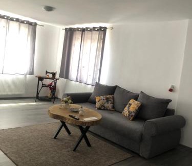 Sighisoara House | Caraiman House