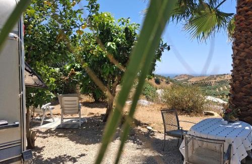 Almayate Bajo Other | Caravan in Finca Molino in Almayate with with pool, family touch and dog madness
