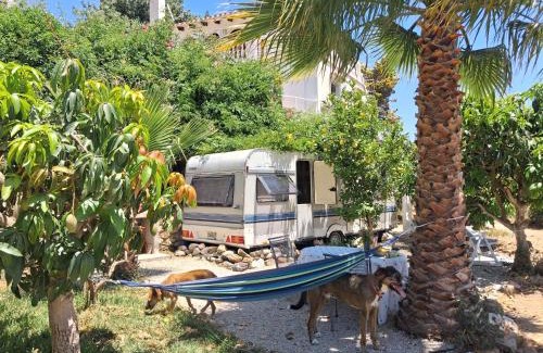 Almayate Bajo Other | Caravan in Finca Molino in Almayate with with pool, family touch and dog madness