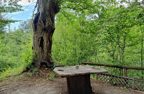 Palazzuolo sul Senio RV Rental | Caravan "Le Sorgenti - Bungalow In Sasso" with Mountain View & Private Garden