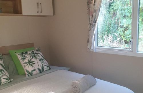 Prestonpans Resort | Caravan under the tree
