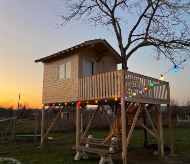 Dulgopol Other | Caravans 10 min to Tsonevo Lake & 35 min to Black Sea