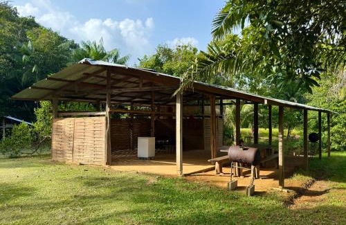 Roura House | Carbet Jaguar