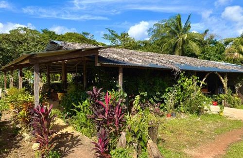 Roura House | Carbet Jaguar