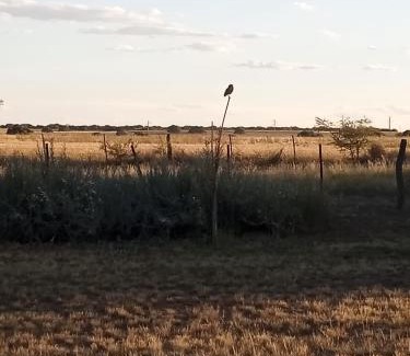 Toay Department Apartment | Cardo Ruso Cabaña