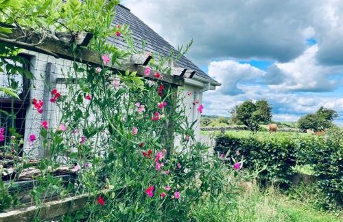 Downpatrick Apartment | Cargagh Cottage