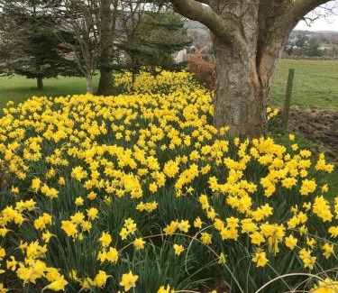 Downpatrick Apartment | Cargagh Cottage