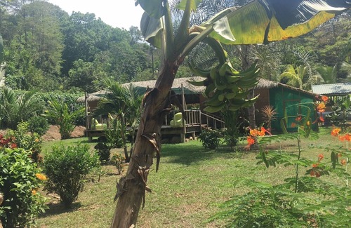 Ojochal House | Caribbean wooden house with swimming pool