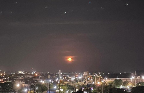 Campo Grande Apartment | Carla Vaz