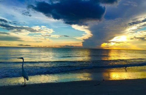 Sunset Reef Apartment | Carousel Suites -Redington Shores