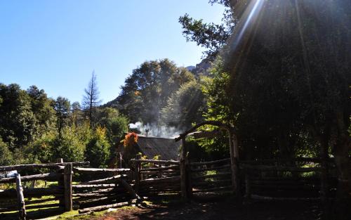 El Bolson Cabin | Carpe Diem Cabañas & Suites