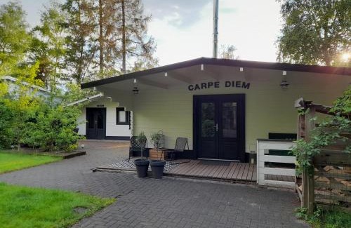 Schoonebeek Ski Chalet | Carpe Diem, het ruime chalet met houtkachel nabij Wildlands Emmen