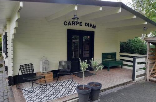 Schoonebeek Ski Chalet | Carpe Diem, het ruime chalet met houtkachel nabij Wildlands Emmen
