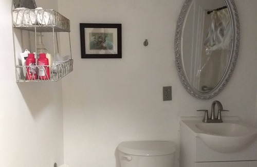 Kenner - Louis Armstrong International Airport House | Carriage House/apartment Near New Orleans