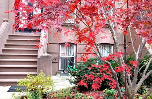 Carroll Gardens Apartment | Carroll Gardens, Brownstone 2 Bedroom with garden, one block to F/G station