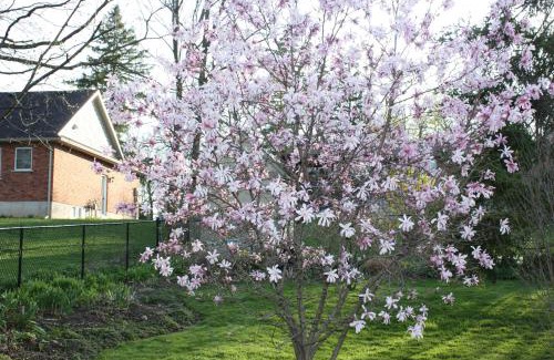 Cayuga Bed & Breakfast | Carrousel Bed & Breakfast