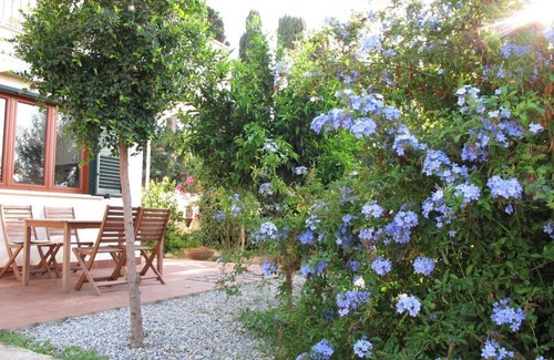 Parghelia House | Casa 1 Des Bains - Casa Margherita