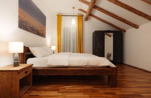 Baia Mare Apartment | Casa 1901