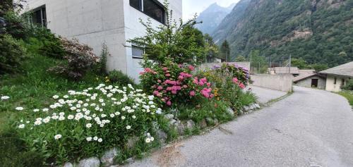 Sonogno Apartment | Casa 21