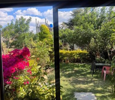 De Guadalupe House | Casa 79 sancris